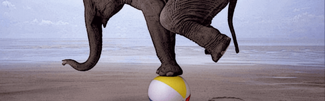 stablecoins featured image of elephant balancing on ball
